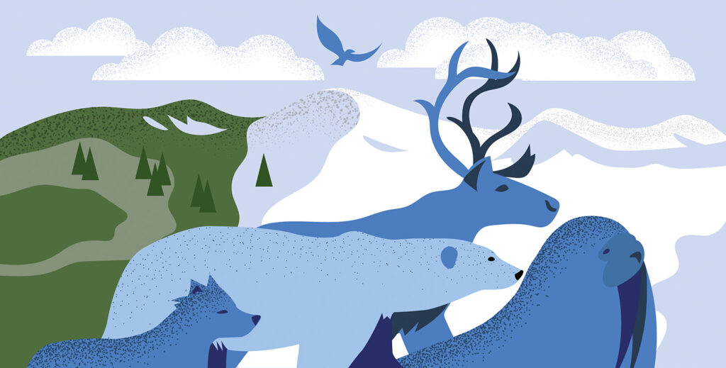 explore-resilience-migration Illustration of arctic wildlife.