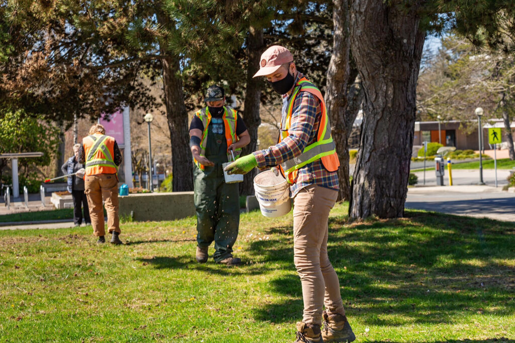 Volunteers planting seeds in a park.