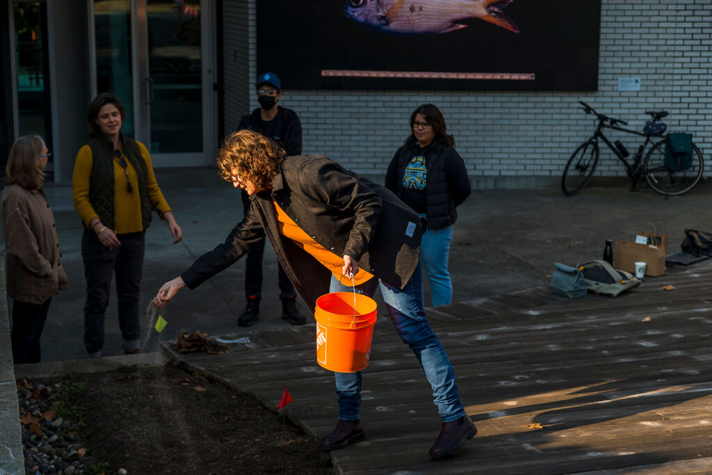 Volunteer putting fertilizer in a planter box.