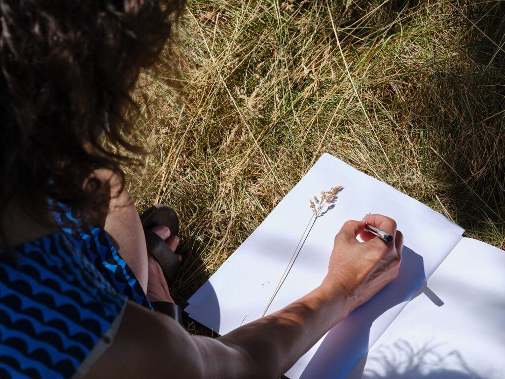 Woman sketching wheat in a sketch book in the sun,