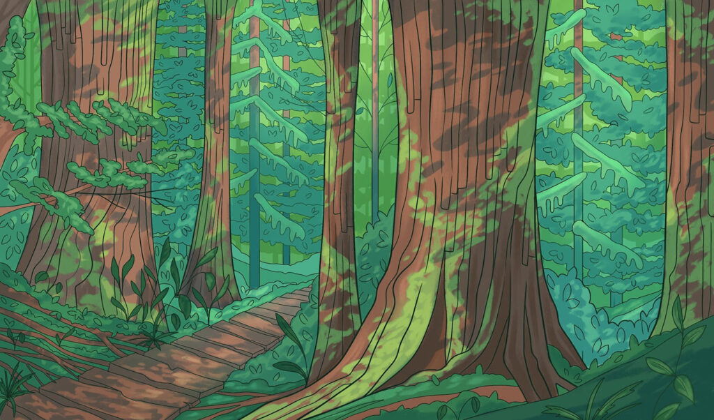 rainforests-illustration Forest illustration
